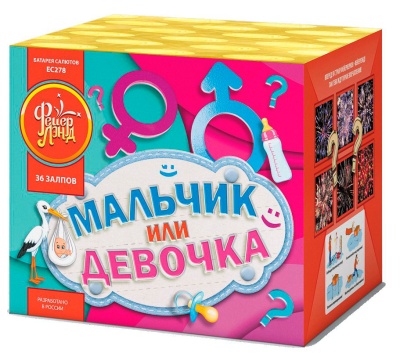 Мальчик или девочка М Фейерверк купить в Тамбове | tambov.salutsklad.ru