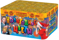 Новогодние цветы Фейерверк купить в Тамбове | tambov.salutsklad.ru