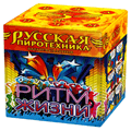 Русская пиротехника — в Тамбове | tambov.salutsklad.ru