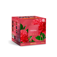 Пионы Салют купить в Тамбове | tambov.salutsklad.ru