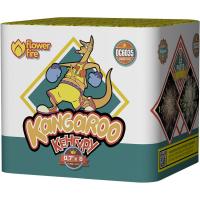 Кенгуру Батарея салютов купить в Тамбове | tambov.salutsklad.ru