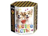 Счастье есть! Салют купить в Тамбове | tambov.salutsklad.ru