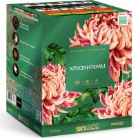 Хризантемы Фейерверк купить в Тамбове | tambov.salutsklad.ru