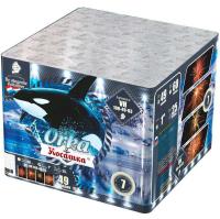 Косатка Фейерверк купить в Тамбове | tambov.salutsklad.ru