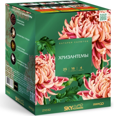 Хризантемы Фейерверк купить в Тамбове | tambov.salutsklad.ru