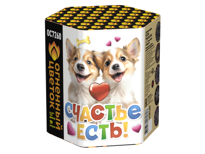 Счастье есть! Салют купить в Тамбове | tambov.salutsklad.ru